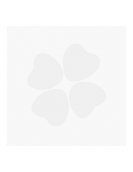 IN-MACULA 60 CAPSULAS