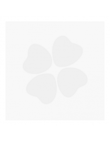 UTIPRO PLUS 30 CAPSULAS