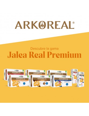 Arko Real Jarabe Apetit