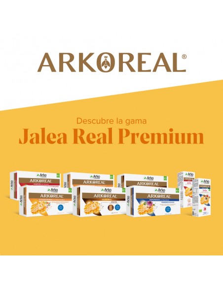 Arko Real Jarabe Apetit
